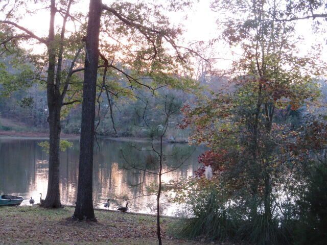 4629 Silver Lake Drive, Evans, GA 30809