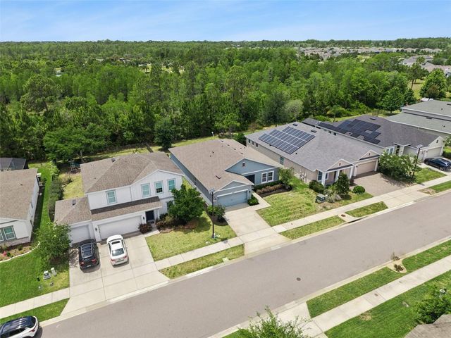 17660 PASSIONFLOWER CIRCLE, Clermont, FL 34714