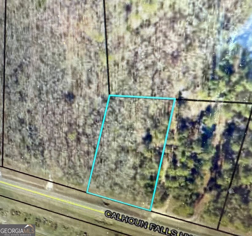 0 Calhoun Falls Highway, Elberton, GA 30635