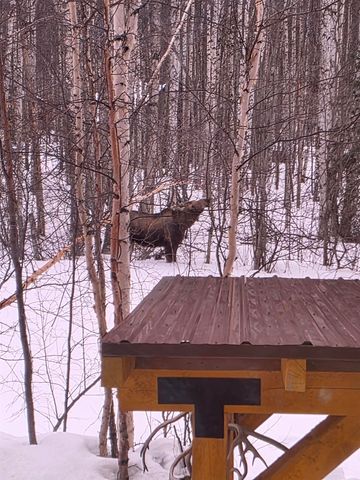 488 EAGLE RIDGE ROAD, Fairbanks, AK 99712
