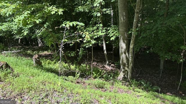 LOT 780 Omen Circle, Ellijay, GA 30540