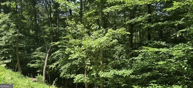 LOT 780 Omen Circle, Ellijay, GA 30540