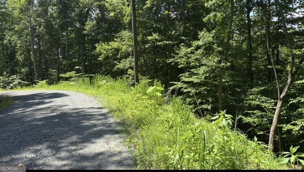 LOT 780 Omen Circle, Ellijay, GA 30540