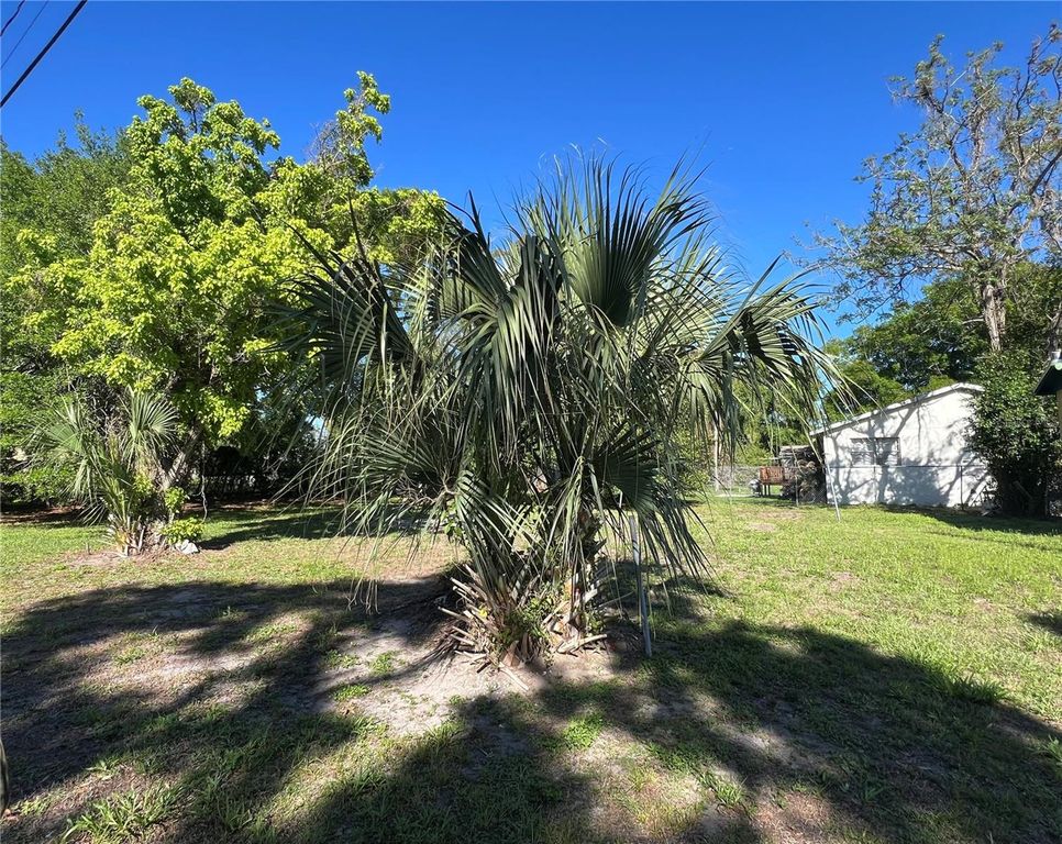 Image 2 of property listing at 10105 N 16 STREET, Tampa, FL 33612