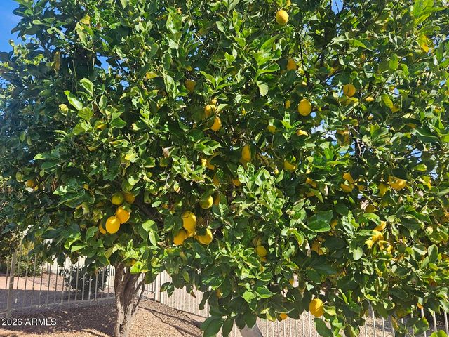 14122 W HORIZON Drive, Sun City West, AZ 85375