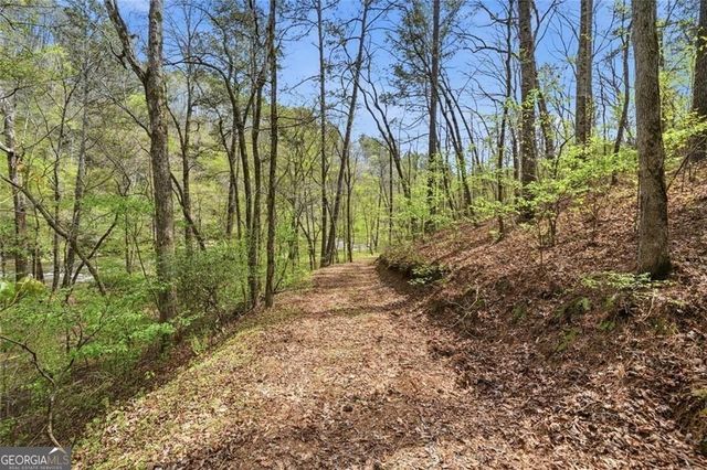 0 Marie Drive, Talking Rock, GA 30175