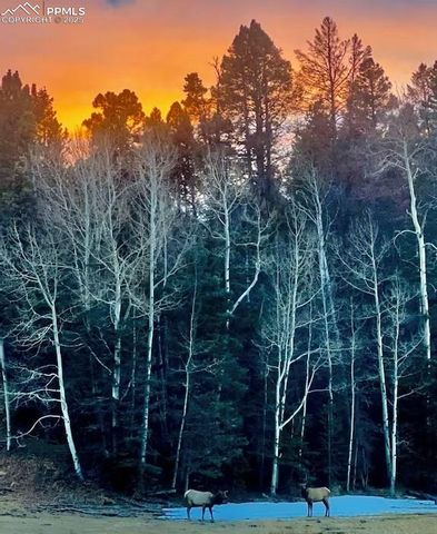 16679 Highway 96, Wetmore, CO 81253