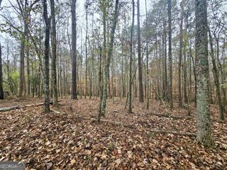 0 Dowdy Road, Roopville, GA 30170