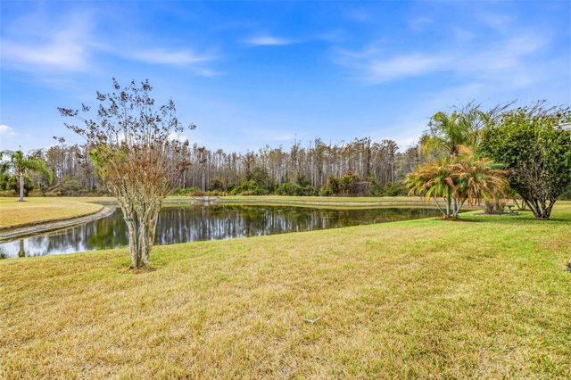 29338 MARKER LOOP, San Antonio, FL 33576