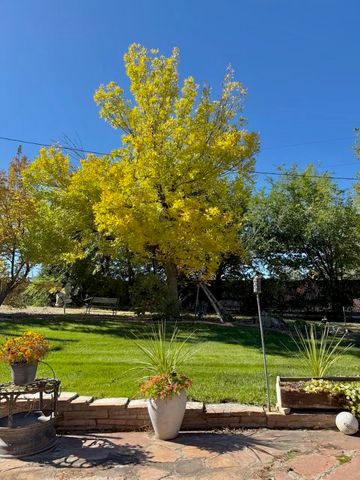 2951 Highway 50, Grand Junction, CO 81503