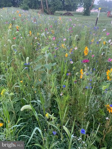 7299 MARSHALL ST, Lincoln, DE 19960