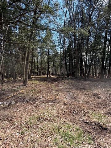 Lot 2 BUTTERCUP ROAD, Wausau, WI 54401