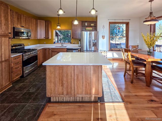 2020 Mullenville Road, Fairplay, CO 80440