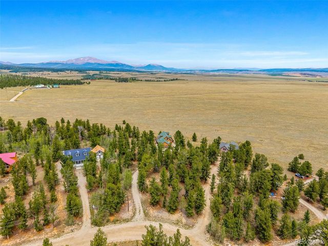 2020 Mullenville Road, Fairplay, CO 80440