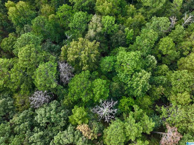 8066 GLENDALE FARMS ROAD, Trussville, AL 35173