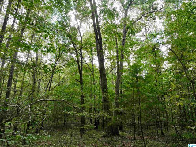 8066 GLENDALE FARMS ROAD, Trussville, AL 35173