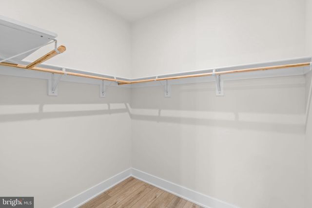 108 WEBSTER CT, Winchester, VA 22603