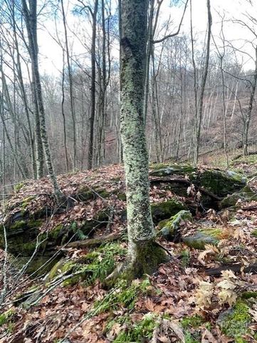 0 Hardwood Cove 100, Waynesville, NC 28785