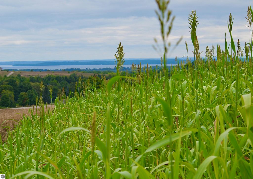 Image 3 of property listing at Parcel B E Duck Lake Road, Suttons Bay, MI 49682