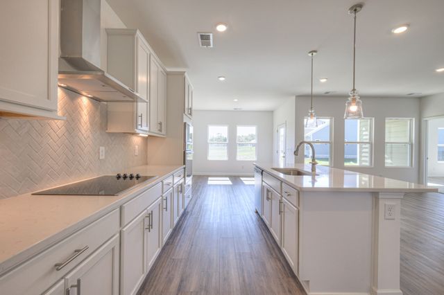 133 Pops Place, White House, TN 37188