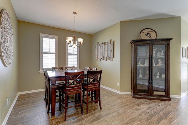 19411 SUNSET BAY DRIVE, Land O Lakes, FL 34638