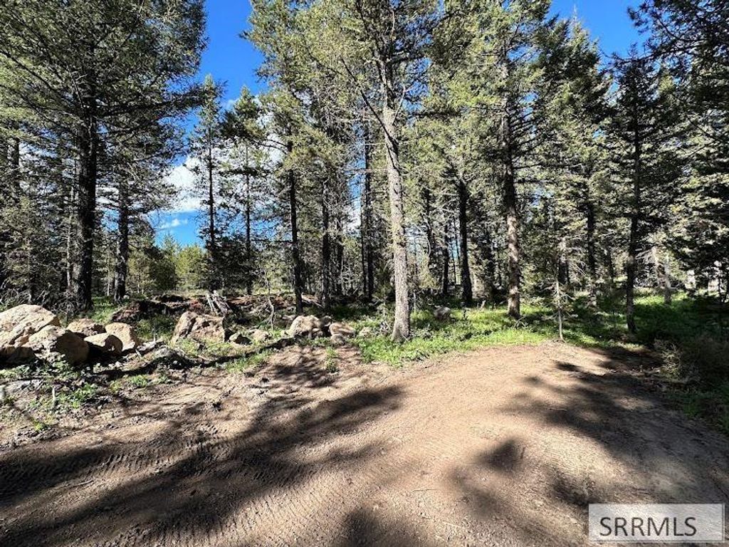 Image 39 of property listing at 2773 NE Sagehen Dr, Island Park, ID 83429