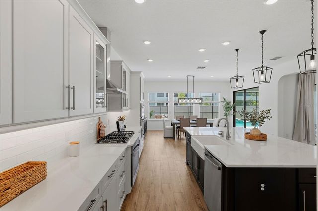 6015 MARSH TRAIL DRIVE, Odessa, FL 33556