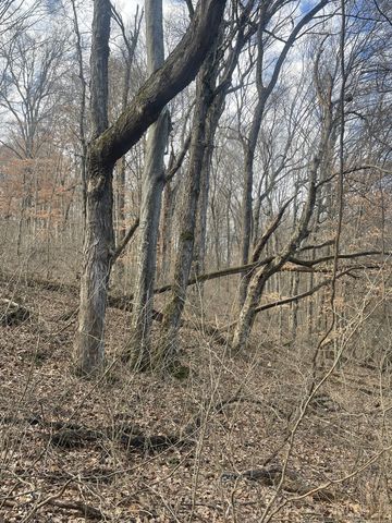 0 New Chapel Rd, Springfield, TN 37172