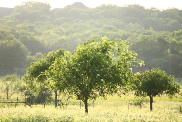 T B D HAYES Road, Mineral Wells, TX 76067