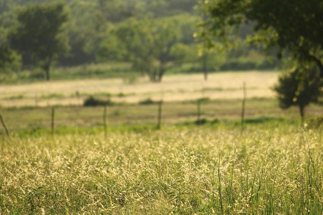 T B D HAYES Road, Mineral Wells, TX 76067