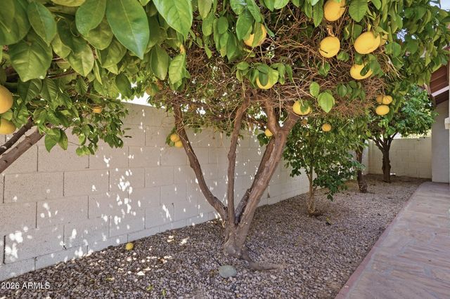 6719 W KERRY Lane, Glendale, AZ 85308