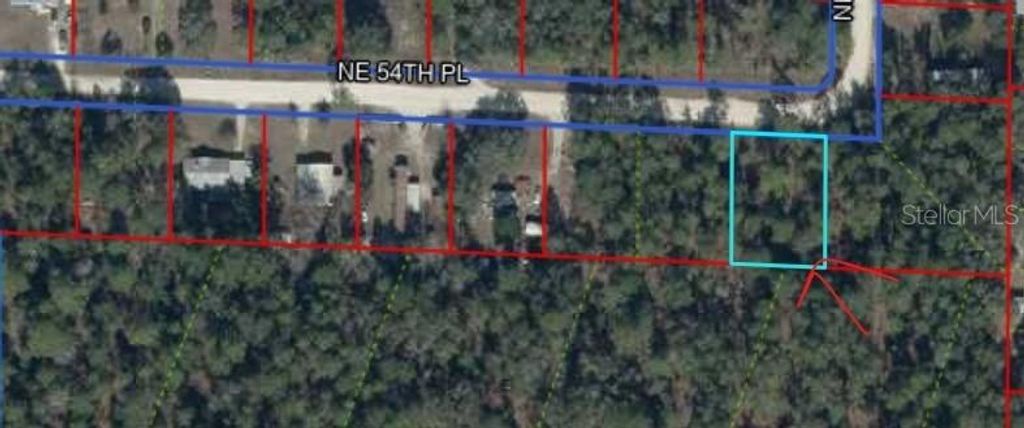 NE 54 PLACE, Williston, FL 32696