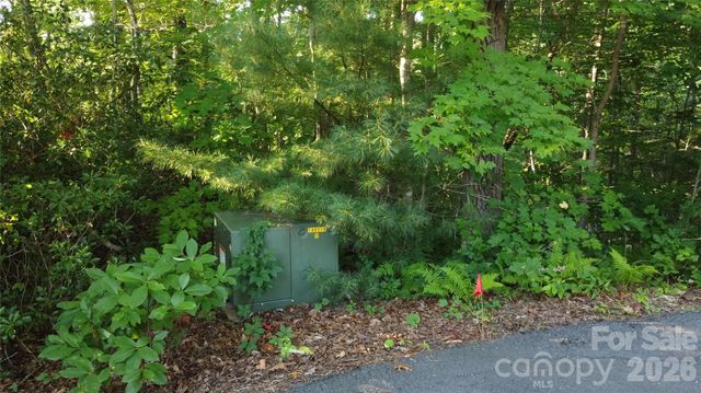 0000 Havens Creek Road 4, Black Mountain, NC 28711