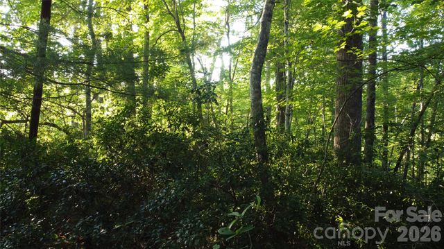 0000 Havens Creek Road 4, Black Mountain, NC 28711