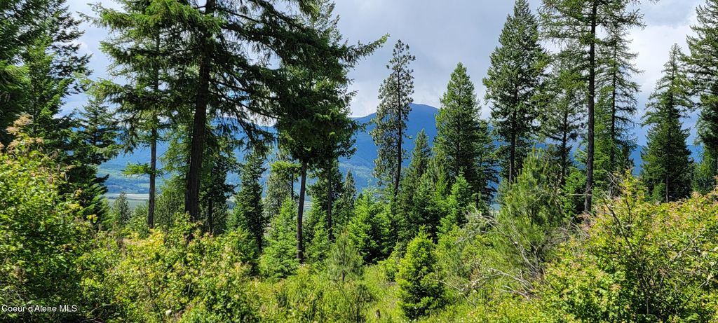 NNA Continental Lane-Parcel 4, Bonners Ferry, ID 83805