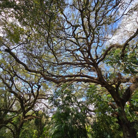 9440 Live Oak Place, Davie, FL 33324