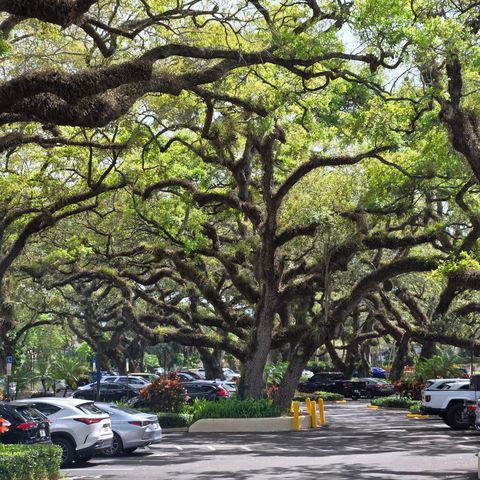 9440 Live Oak Place, Davie, FL 33324