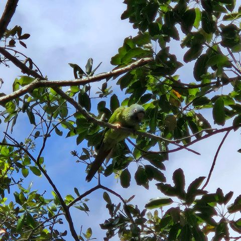 9440 Live Oak Place, Davie, FL 33324