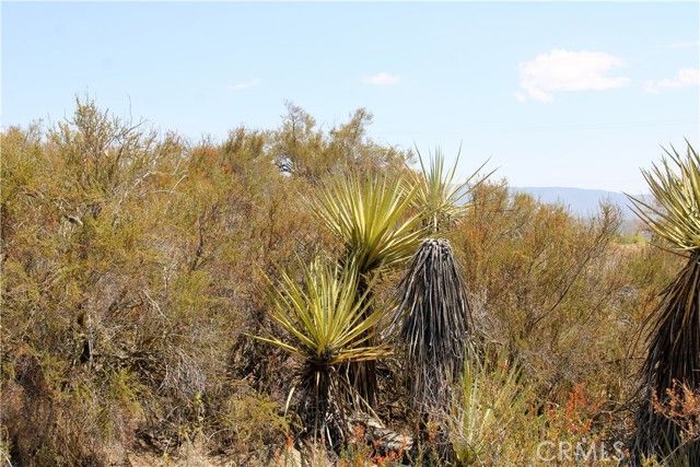 875 Lake Canyon, Aguanga, CA 92536