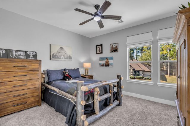 225 Blue Hill Drive, Montgomery, TX 77356