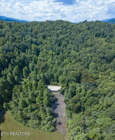 2132 Clinch Valley Rd, Thorn Hill, TN 37881