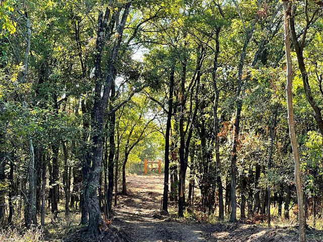 720 Vest Lane, Pilot Point, TX 76258