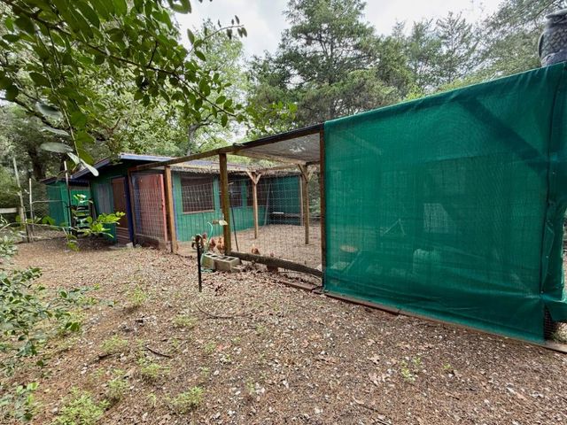 1411 County Road B, Lexington, TX 78947