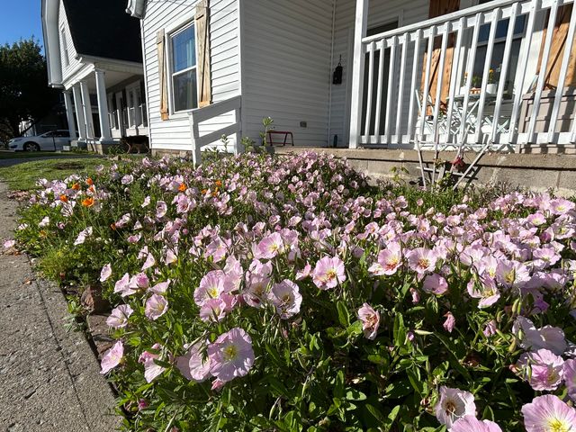 16 16th Street, Paris, KY 40361