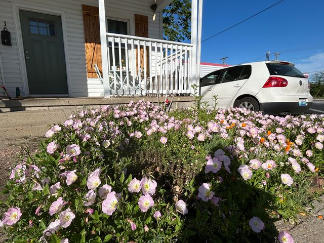 16 16th Street, Paris, KY 40361