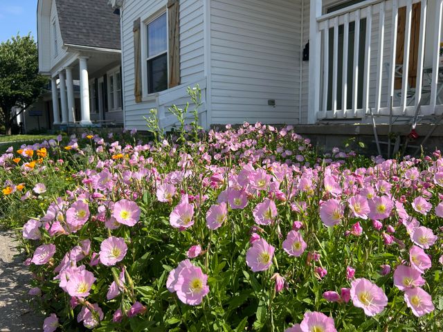 16 16th Street, Paris, KY 40361