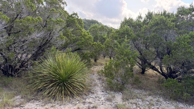 1086 Trail Pass, Canyon Lake, TX 78133
