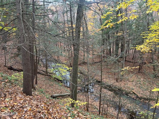 11 Wheeler Drive, Clifton Park, NY 12065