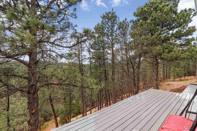 24527 RED RIDGE RD, Hermosa, SD 57744