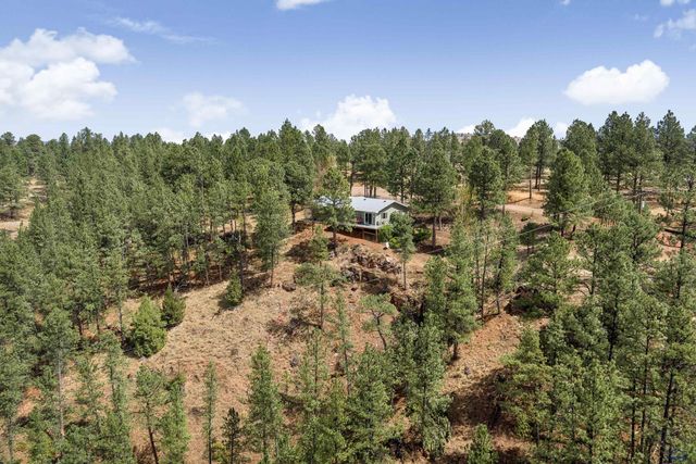 24527 RED RIDGE RD, Hermosa, SD 57744